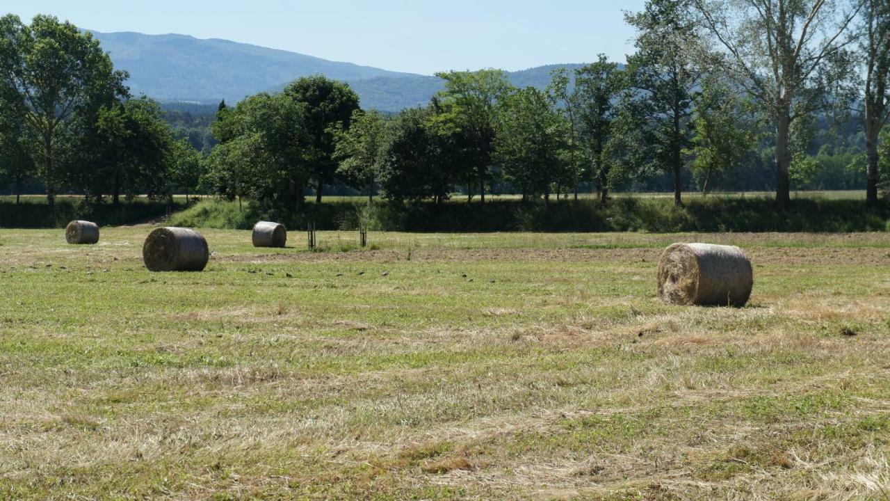 Agriturismo Casa Agricola Rossi Appartamenti In Casentino Soci Exterior foto