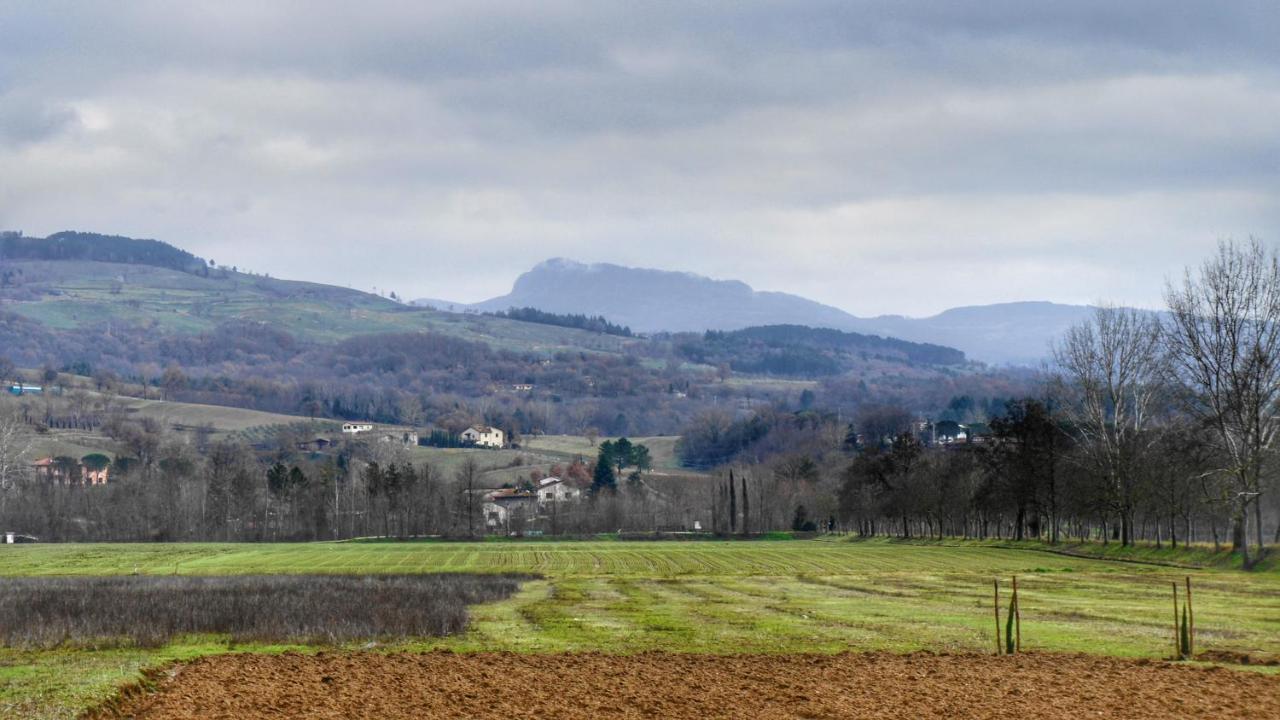 Agriturismo Casa Agricola Rossi Appartamenti In Casentino Soci Exterior foto