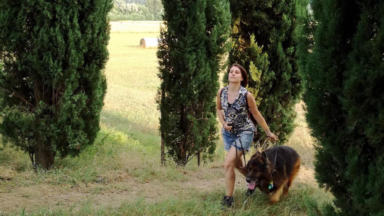Agriturismo Casa Agricola Rossi Appartamenti In Casentino Soci Exterior foto